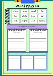 English worksheet: Sorting animals