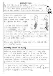 English Worksheet: How we breathe