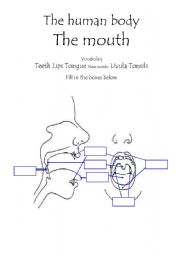 English Worksheet: The Human Body - The Mouth - fill in the boxes