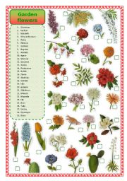 English Worksheet: Garden flowers- matching