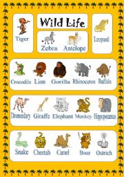 English Worksheet: Animals - Wild Life