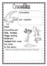 English worksheet: Crocodiles