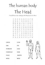 English worksheet: The human body - The head wordsearch