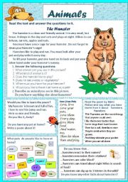 English Worksheet: Animals 