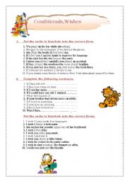 English Worksheet: conditionals wishes