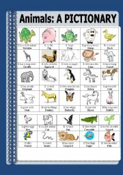 English Worksheet: ANIMALS