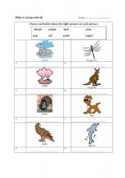 English worksheet: Young animals