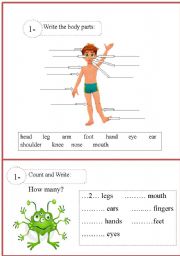 English Worksheet: Body Parts