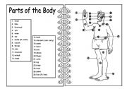 English Worksheet: Parts of the Body - Pictionary