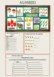 English Worksheet: NUMBERS