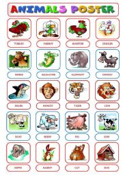 English Worksheet: ANIMALS POSTER
