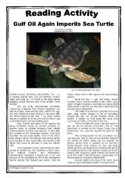 English Worksheet: Gulf Oil Again Imperils Sea Turtle - Reading + KEY