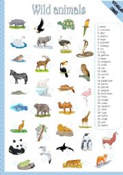 English Worksheet: WILD ANIMALS - MATCHING