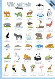 English Worksheet: WILD ANIMALS - PICTIONARY