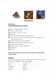 English Worksheet: Different Cultures