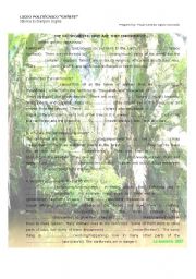 English Worksheet: RAINFORESTS