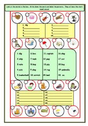 English Worksheet: Short vowel sounds