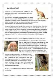 English Worksheet: Kangaroos