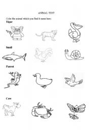 English worksheet: animal test