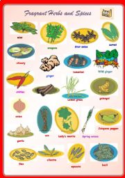 English Worksheet: Fragrant Herbs and Spices **fully editable