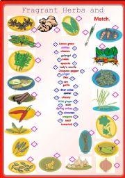 English Worksheet: Fragrant Herbs and Spices-Matching **fully editable