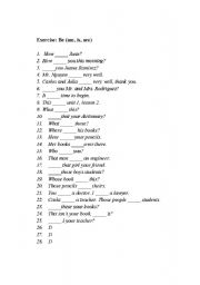 English Worksheet: Verb to be exercise