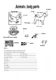 English Worksheet: animals body parts