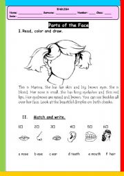 English Worksheet: parts of face