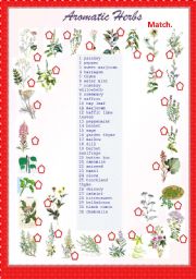 English Worksheet: Aromatic Herbs- Matching activity