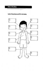 English Worksheet: part of the body