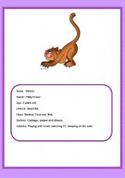 English worksheet: Animal Description. Group oral work