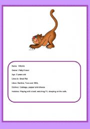 English Worksheet: Animal Description. Group oral work