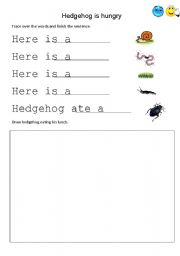 English Worksheet: Hedgehog is hungry