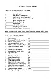 English Worksheet: useful exercises for simple present tense