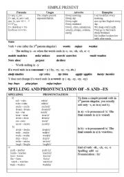 English Worksheet: simple present