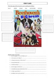 English worksheet: Beethovens great break