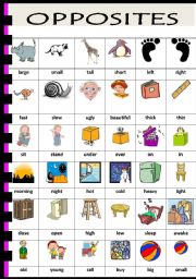 English Worksheet: OPPOSITES