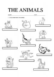 English worksheet: THE ANIMALS