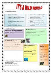 English Worksheet: ITS A WILD WORLD WORKSHEET