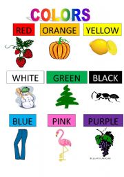 English Worksheet: Colors