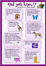 English Worksheet: animal facts - did you know? (re-uploaded)