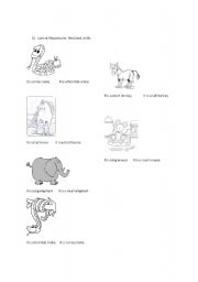 English Worksheet: Description of animals
