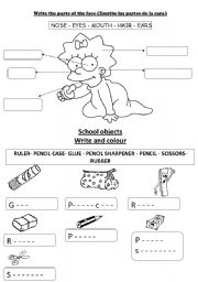 English Worksheet: PARTS OF THE FACE AND SCHOOL OBJECTS