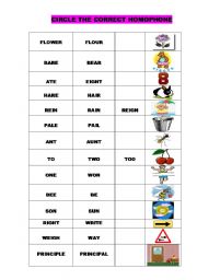 English Worksheet: HOMOPHONES