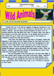 English Worksheet: Wild Animals