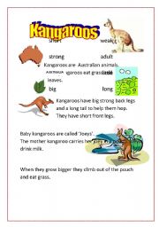 English Worksheet: Kangaroos