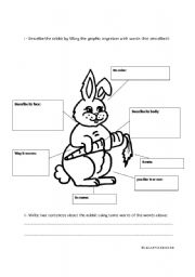 English Worksheet: Rabbit describing