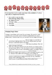 English worksheet: TEST - INFINITIVES OF PURPOSE  (Bringing puppy home)