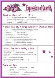 English Worksheet: Expression of Quantity
