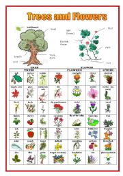 English Worksheet: Trees and Flowers